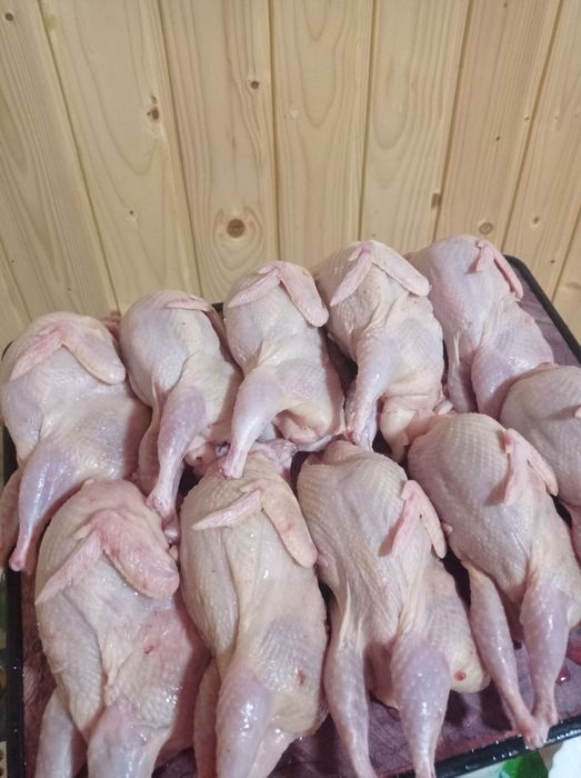 Тушка перепела , м'ясо перепелине