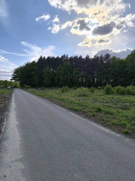 Mirostowice Dolne działki budowlane pod lasem  z WZ  na sprzedaż