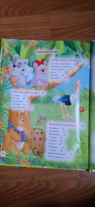 Книга про тварин з проектуванням тварин через програму