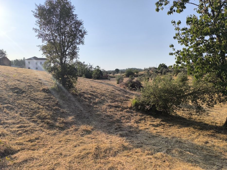 Quinta  Zona Centro 18.000 m² localização privilegiada