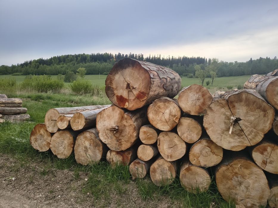 Drewno kominkowe opałowe Buk