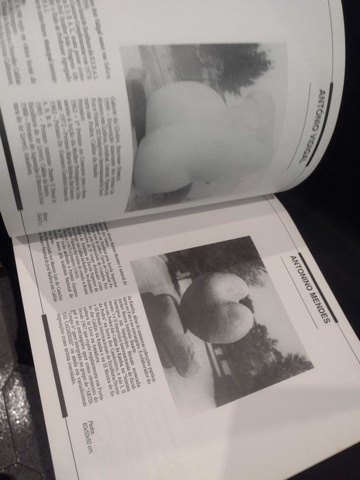 4ª Bienal Escultura - Desenho - 1991