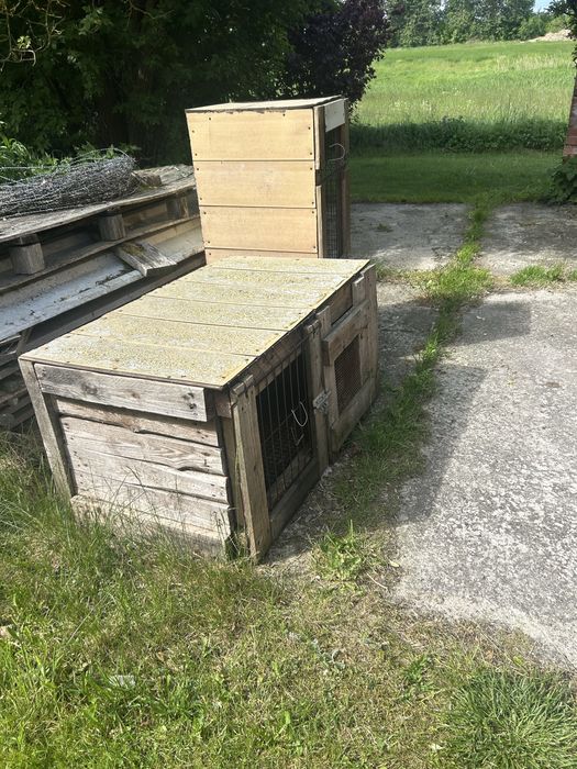 Klatki dla królików dwie sztuki oddam za darmo