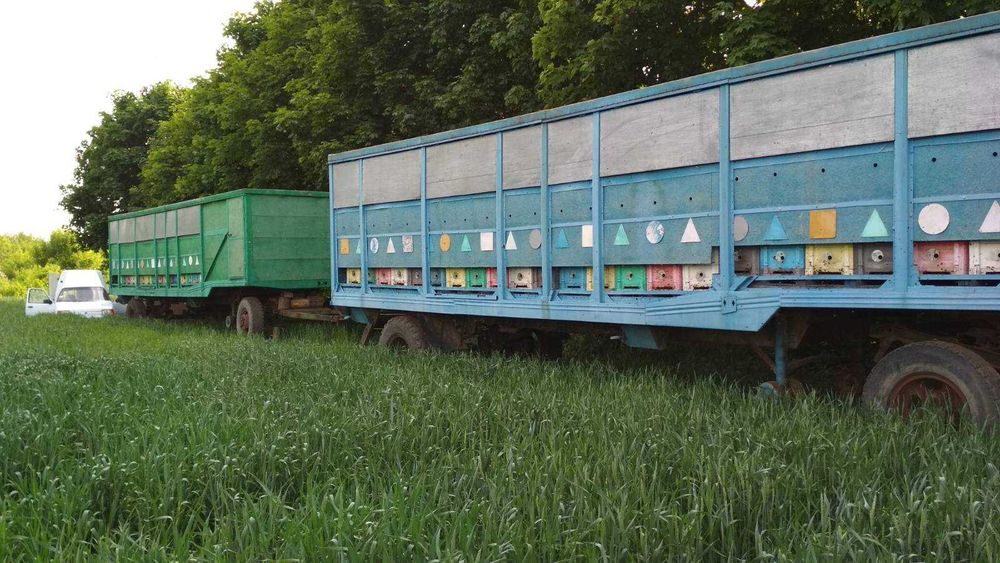 Бджолопавільйони,причіпи для бджіл.