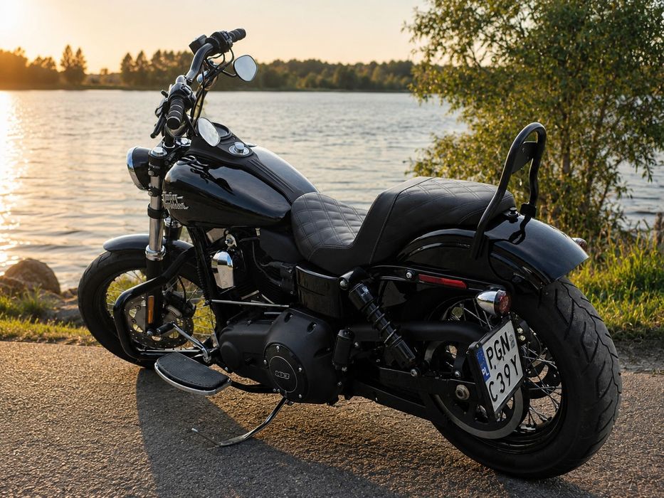 Harley- Davidson Dyna Street Bob