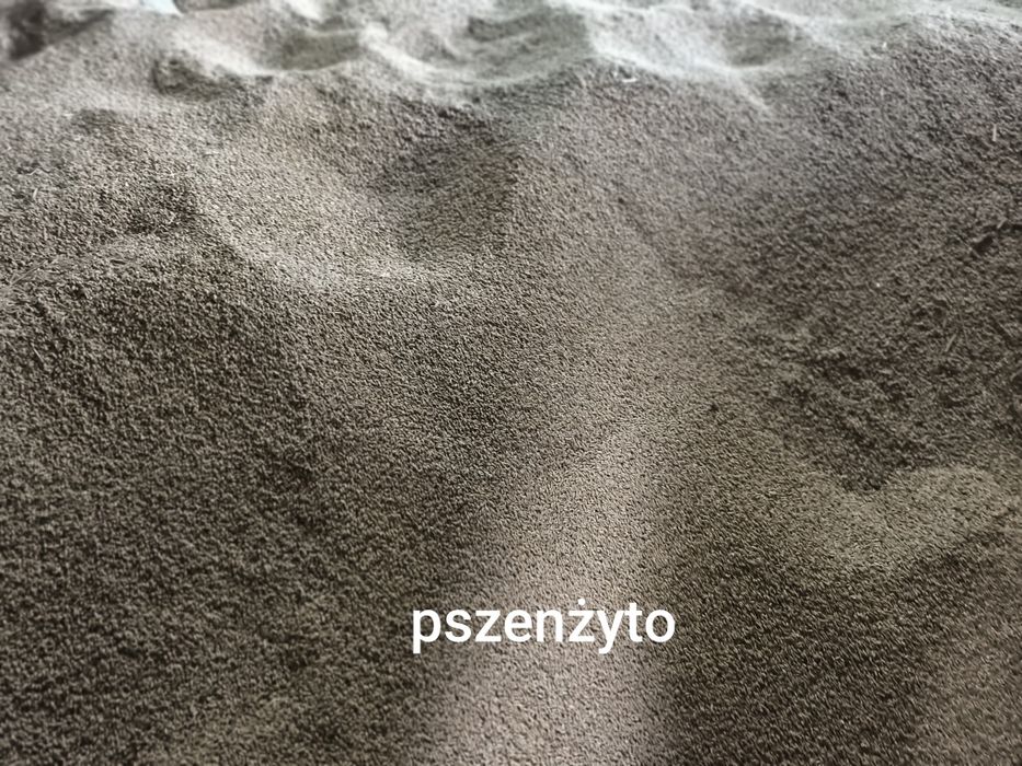 Sprzedam zboże jęczmień pszenica pszenżyto kukurydzę