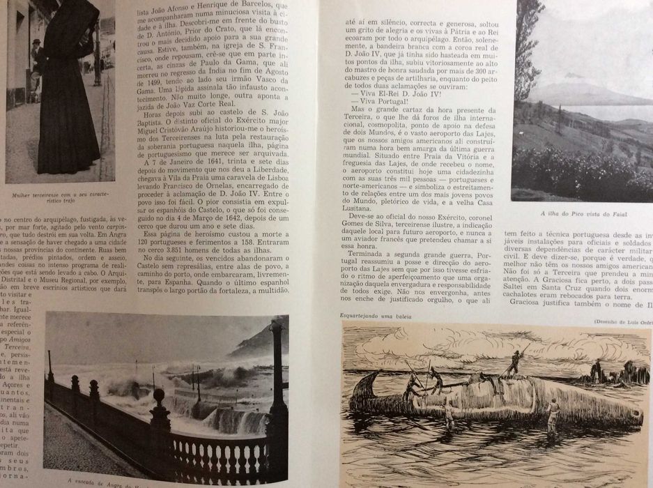 Armando de Aguiar. O mundo que os portugueses criaram