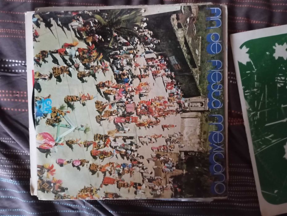 Lote de vinis em bom estado