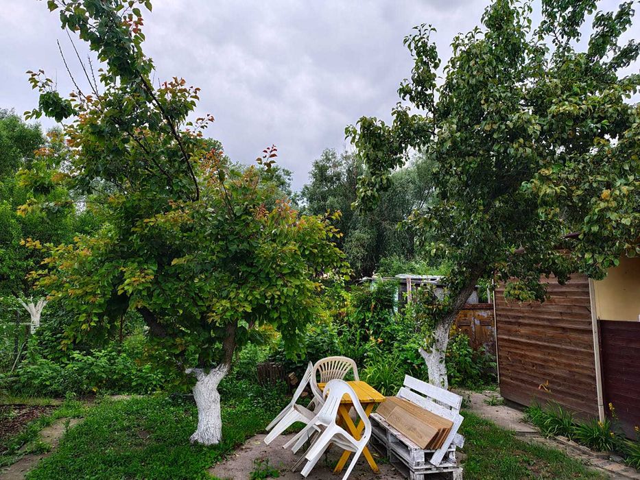 Sprzedam prawo do użytkownika działki ROD - Widok 3