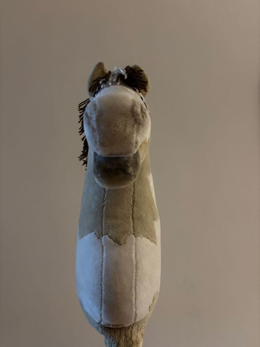Hobby horse z kijem