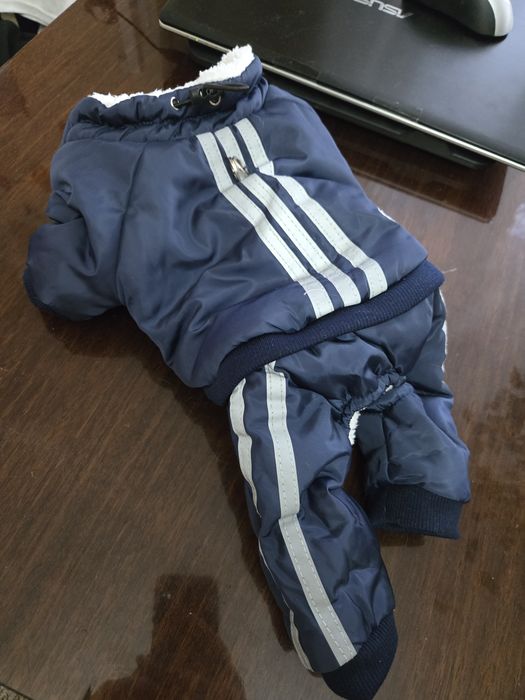 Комбинезон для собачки