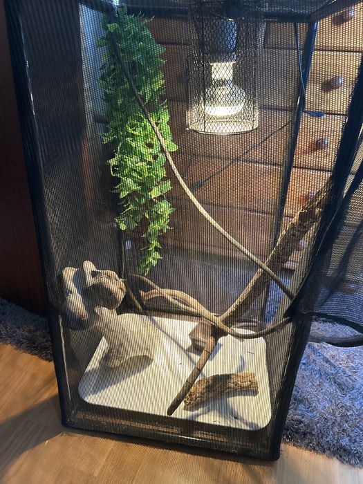 Terrário/gaiola  para Camaleão Completo (Iluminação + Acessórios) – 75€
