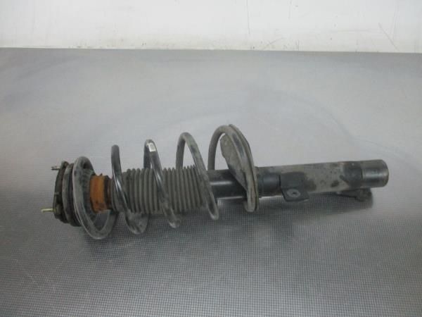 Amortecedor frente direito FORD Transit Connect I (P65_, P70_, P80_)