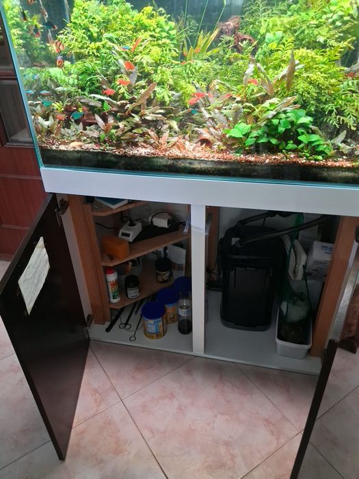 Aquário 100x50x50