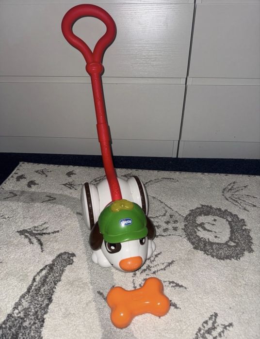 Cão detetive chicco