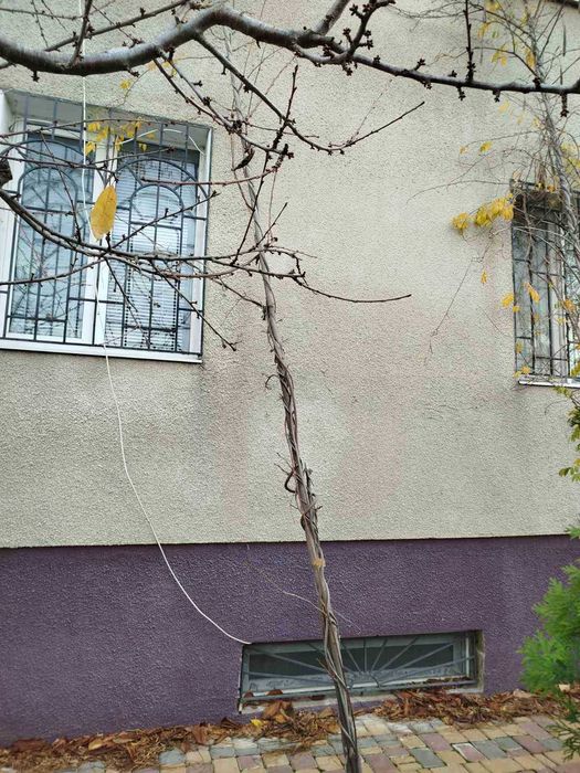 Дом по адресу ул. Приморская (площадь 176 м²) - Atlanta.ua - фото 18