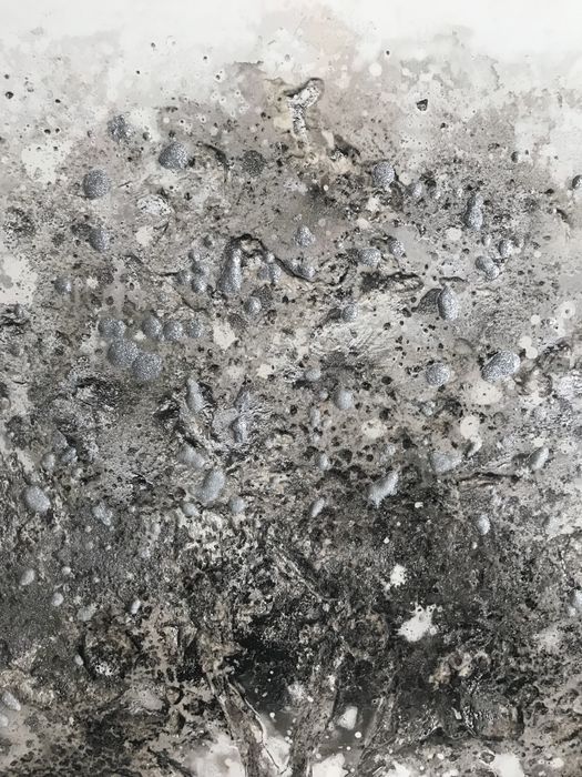 Quadro árvore da vida