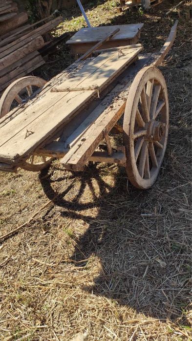 Carro de bois madeira