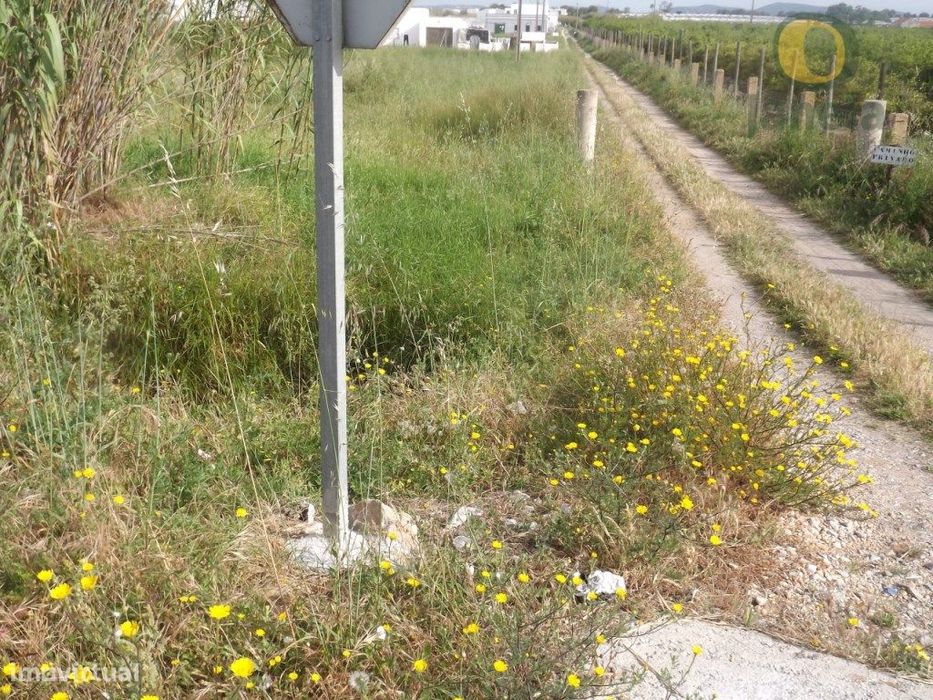 Terreno com 5160 m2 entre Faro e Olhao, perto da 125