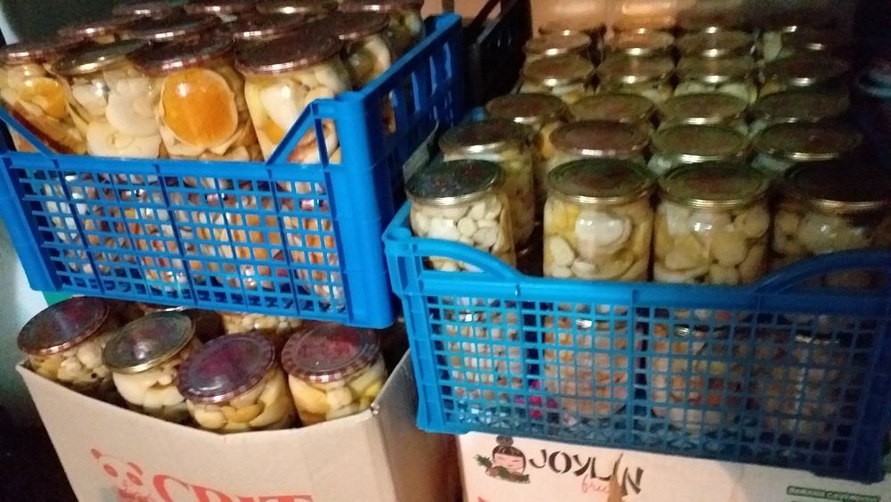 Білі гриби мариновані