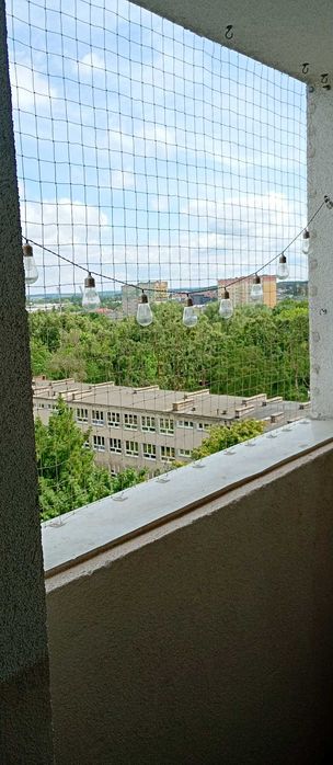 Zdjęcie 4