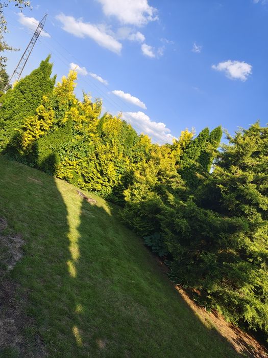 Działka ROD "Elana" 300 m², murowany domek z piętrem duży plac zabaw - Widok 3