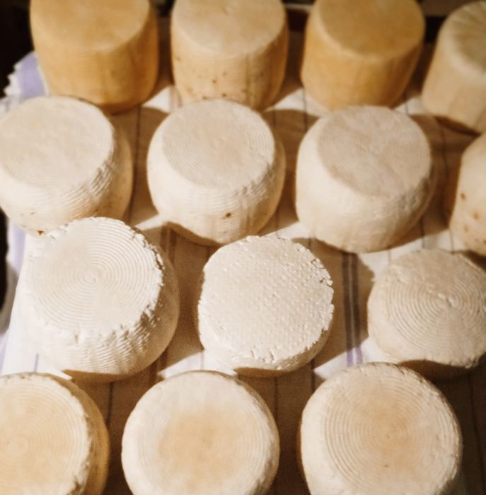 Сир козячий справжній