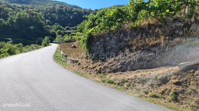 Terreno / Baião, Valadares