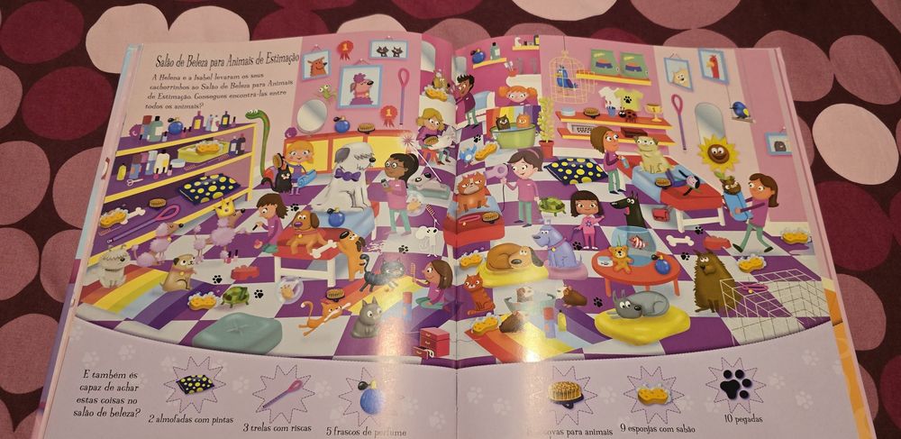 501 Coisas para Encontrar - Girassol