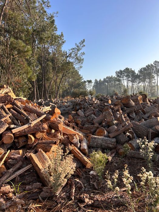 Vendo todo o tipo de lenha