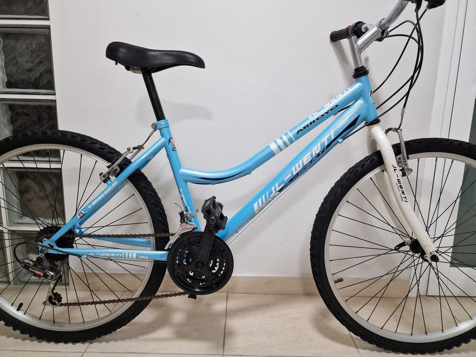 Bicicleta JL-WENTI  Arroyo Roda 26