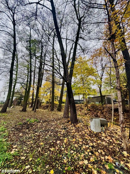 Działka Inwestycyjna z budynkami USŁUGI/MIESZKANIÓWKA. MPZP!  FV VAT!