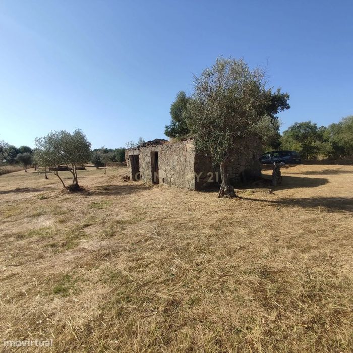 Terreno Rústico com  2250m2 na Lardosa, Castelo Branco — Lardosa, Castelo Branco
