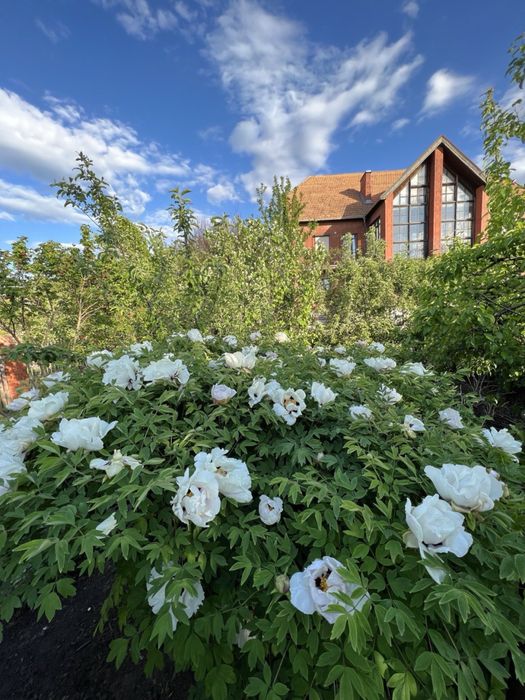 Продам дом 805 м.кв Одинковка/12 км от Центра/Игрень/бассейн