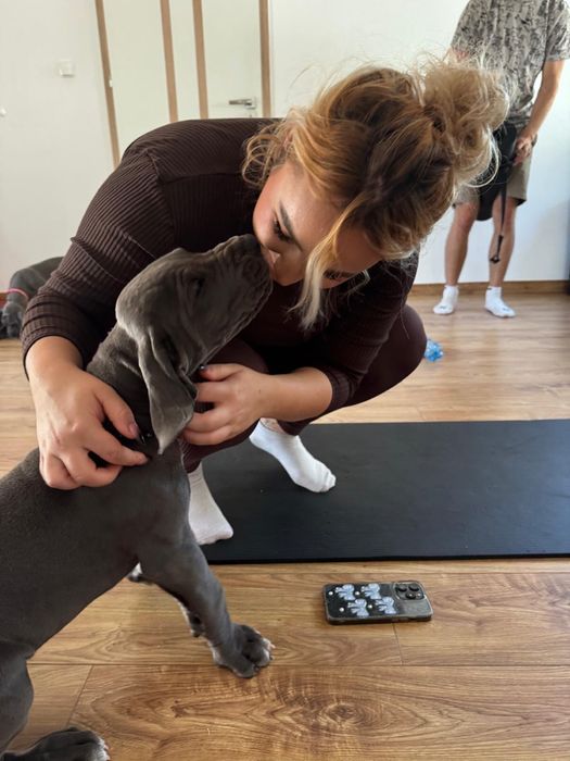 Petsitterka z sercem – opieka nad Twoim pupilem