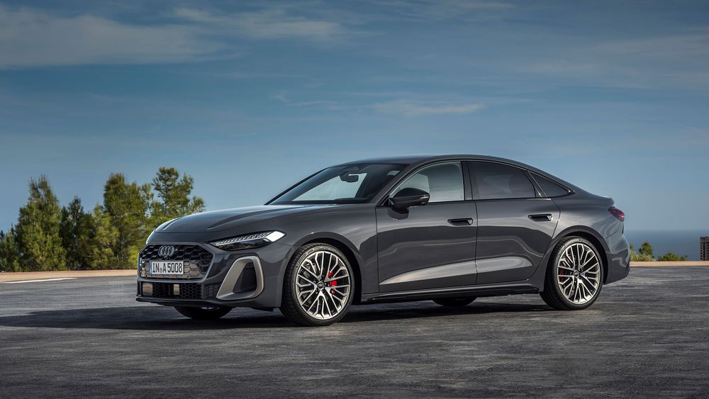 Zdjecie w galerii numer 1