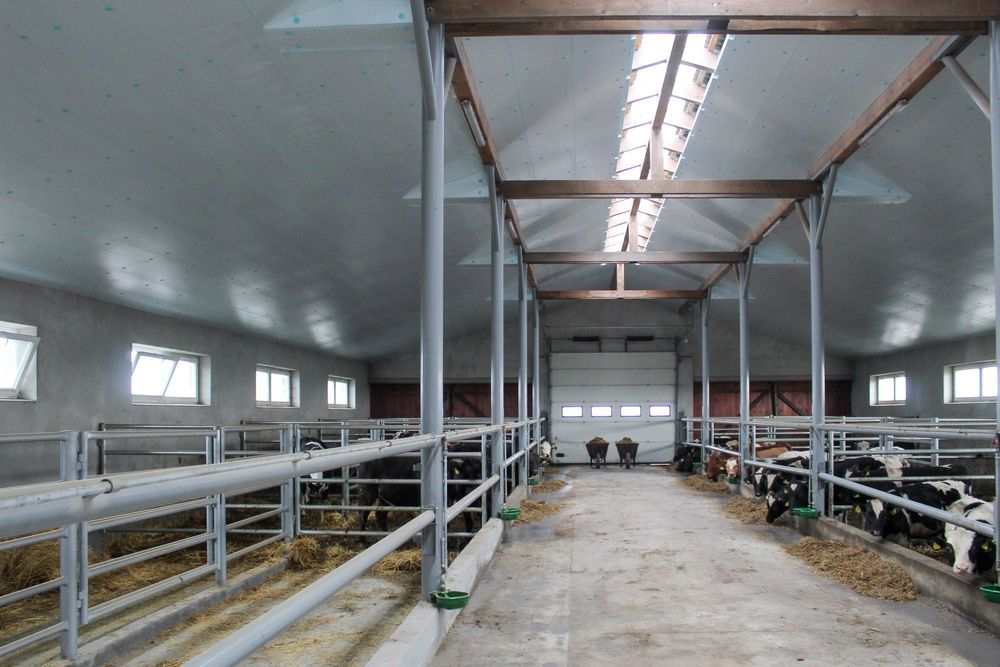 Płyta Ocieplająca Docieplająca Izolująca Styrodur XPS AGRO Do Obory