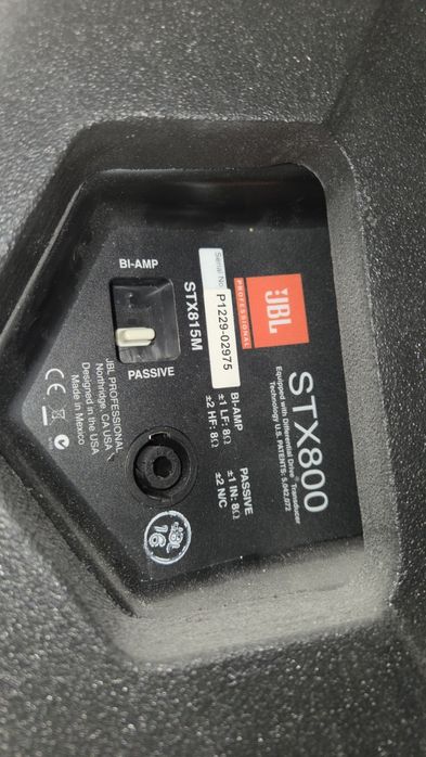 Głośnik JBL STX815M