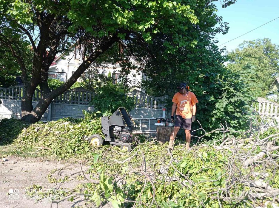 Спил ,ВИДАЛЕННЯ!Проблемних, Великих, Аварійних дерев!!!Арборист.