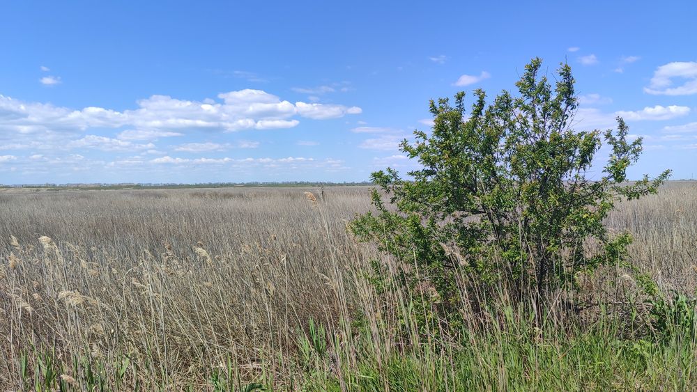 Продам фасадну ділянку біля моря 10 соток ділима