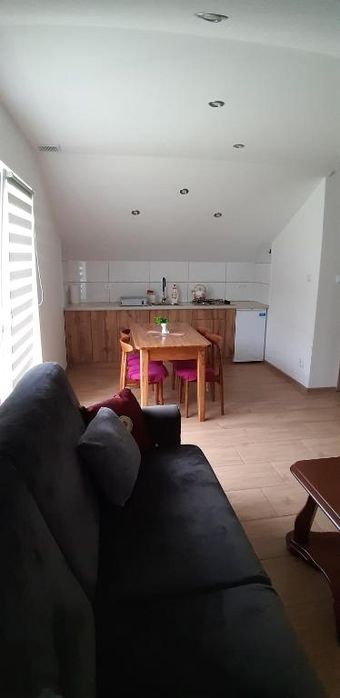 Apartament Olszanica 4 km od Bieszczad-Ski