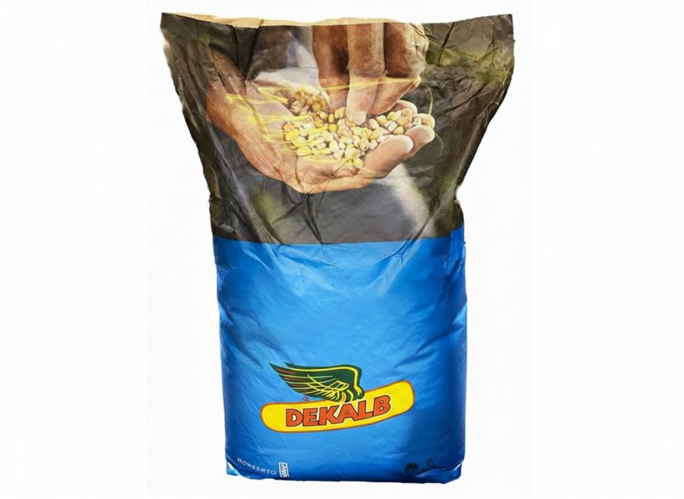 Посівна кукурудза ДКС