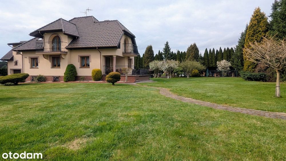 Dom – Orzesze, Zazdrość - Widok 2