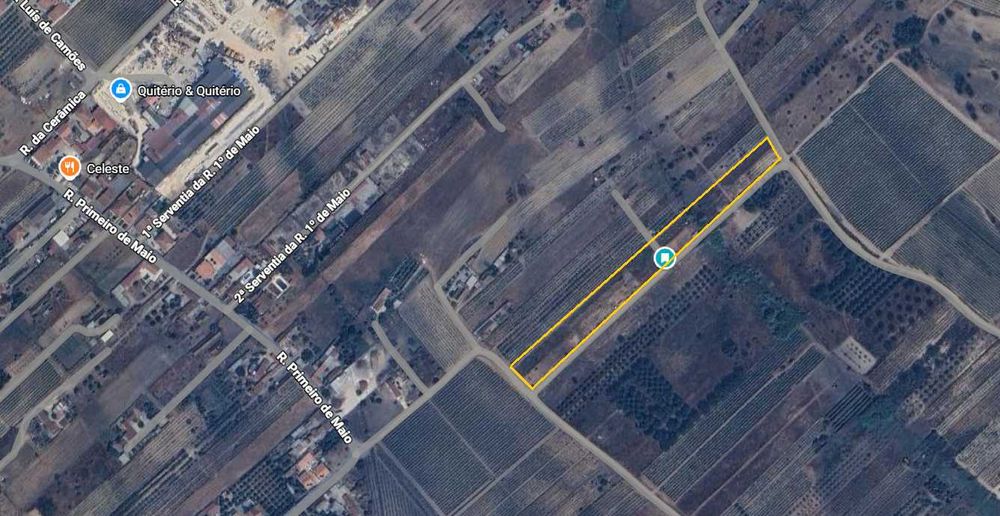 Terreno Rústico com Poço + Possibilidade Anexo | 4.900 m² | Alpiarça