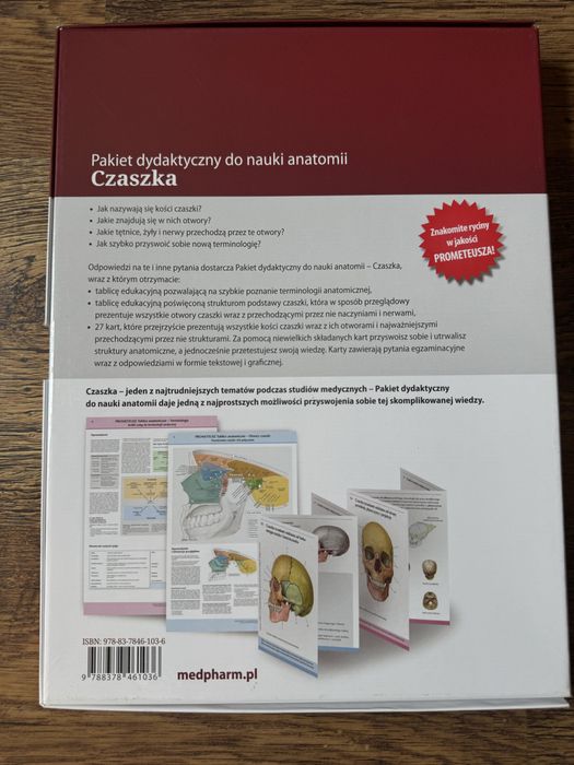 Czaszka prometeusz pakiet dydaktyczny nowy