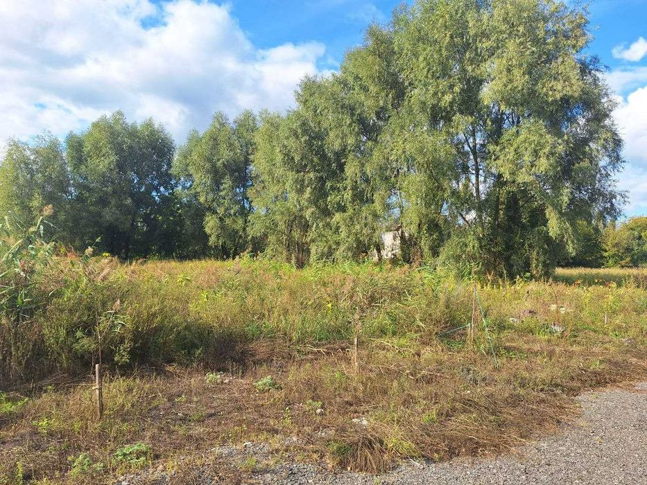 без% продаж земльної ділянки Козин