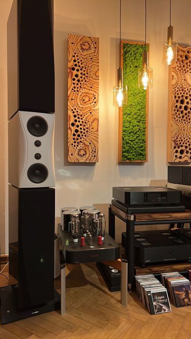 Dynaudio Evidence Temptation - kolumny głośnikowe HighEnd