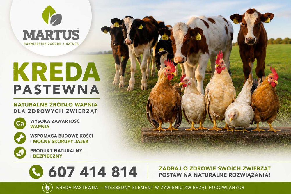 Kreda Pastewna  luzem