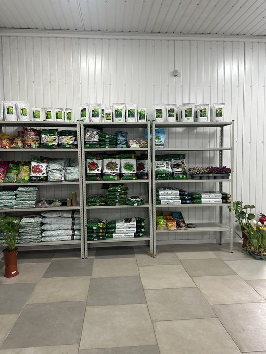 Насіння F1, syngenta, bejo ,sakata,E.ZADEN,томат, огірок , буряк …
