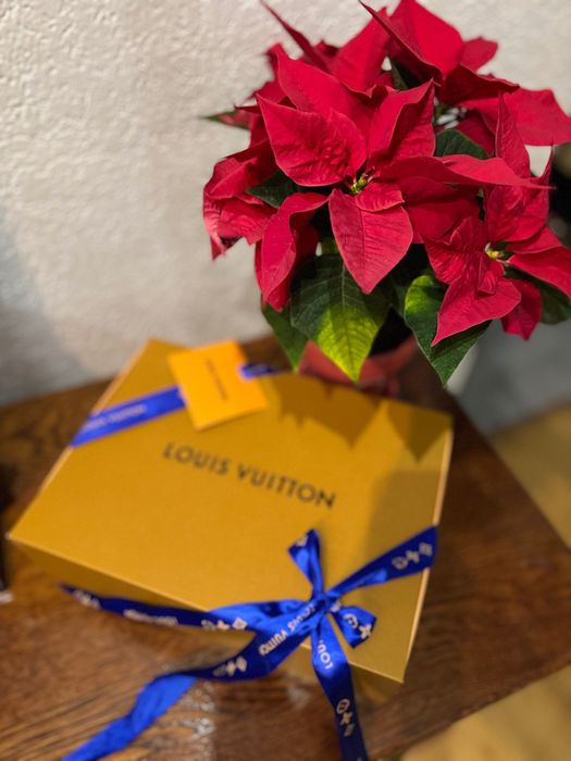 Коробка Louis Vuitton n2